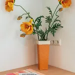 Haus Modau * Майргофен